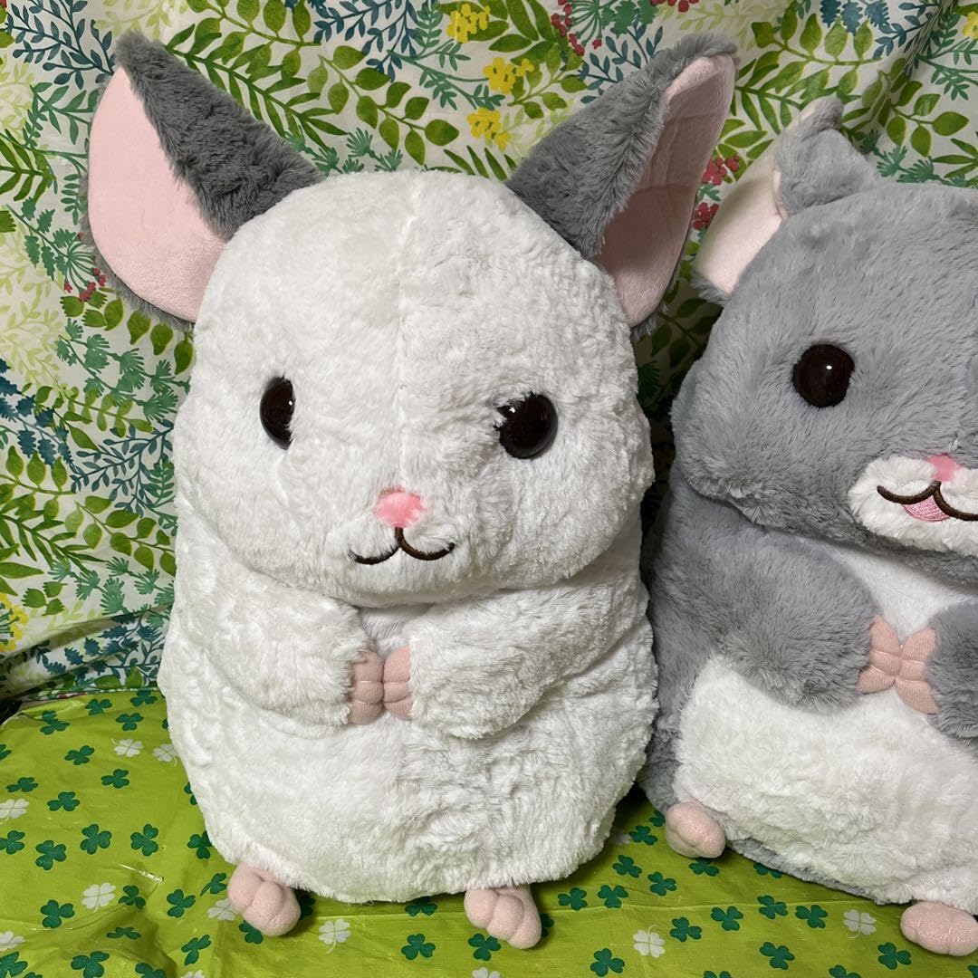 Amazon.co.jp: チンチラ ぬいぐるみ ララちゃん ニコちゃん BIGサイズ